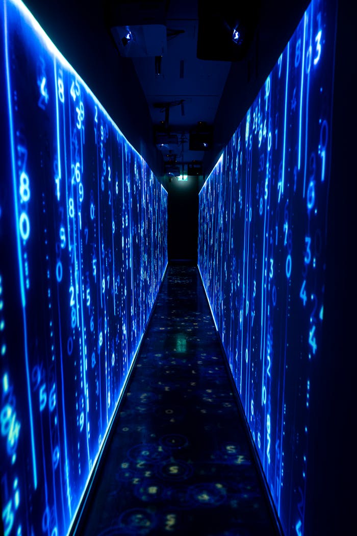 Services A luminous blue tunnel with digital numbers creating a futuristic, sci-fi ambiance.